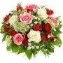Blüten: Rosen unterschiedliche Sorten Amimajus Camille und Blat