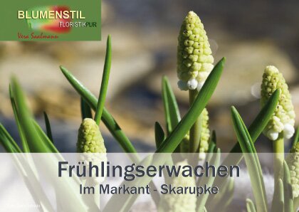 Vera Saalmann Blumenstil - Detmold